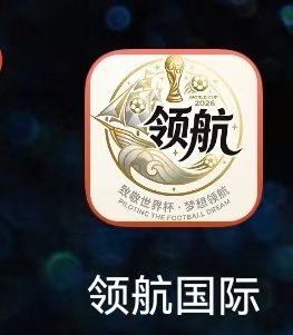 领航国际